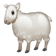 Émoji 🐑 Mouton sur WhatsApp 2.19.244.