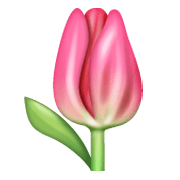Emoji 🌷 Tulipano su WhatsApp 2.19.244.