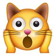 🙀 Emoji erschöpfte Katze WhatsApp 2.19.244.