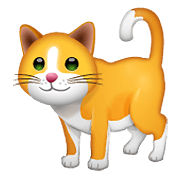 🐈 Emoji Katze WhatsApp 2.19.352.