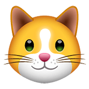 Emoji 🐱 Muso Di Gatto su WhatsApp 2.19.352.