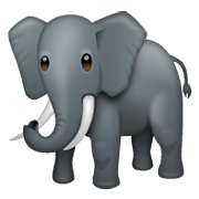 Emoji 🐘 Elefante su WhatsApp 2.19.352.
