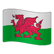 Emoji 🏴󠁧󠁢󠁷󠁬󠁳󠁿 Bandiera: Galles su WhatsApp 2.19.352.