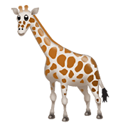 Emoji 🦒 Giraffa su WhatsApp 2.19.352.