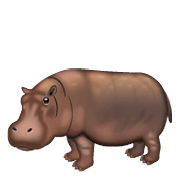 Émoji 🦛 Hippopotame sur WhatsApp 2.19.352.