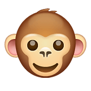 Emoji 🐵 Muso Di Scimmia su WhatsApp 2.19.352.