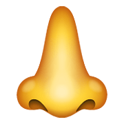 Emoji 👃 Naso su WhatsApp 2.19.352.