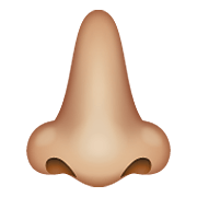 Emoji 👃🏼 Naso: Carnagione Abbastanza Chiara su WhatsApp 2.19.352.