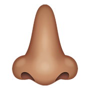 Emoji 👃🏽 Naso: Carnagione Olivastra su WhatsApp 2.19.352.