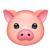 🐷 Emoji Cara De Cerdo en WhatsApp 2.19.352.