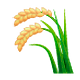 Émoji 🌾 Plant De Riz sur WhatsApp 2.19.7.