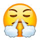 Emoji 😤 Faccina Che Sbuffa su WhatsApp 2.19.7.
