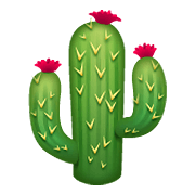 🌵 Emoji Cactus en WhatsApp 2.20.198.15.