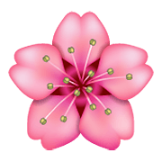Émoji 🌸 Fleur De Cerisier sur WhatsApp 2.20.198.15.