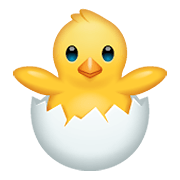 Emoji 🐣 Pulcino Che Nasce su WhatsApp 2.20.198.15.