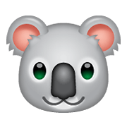 🐨 Emoji Koala en WhatsApp 2.20.198.15.