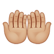 Emoji 🤲🏼 Mani Unite In Alto: Carnagione Abbastanza Chiara su WhatsApp 2.20.198.15.