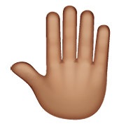 🤚🏽 Emoji erhobene Hand von hinten: mittlere Hautfarbe WhatsApp 2.20.198.15.