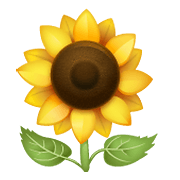 🌻 Emoji Sonnenblume WhatsApp 2.20.198.15.