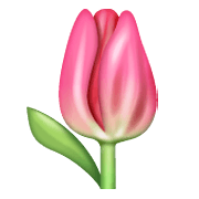 Émoji 🌷 Tulipe sur WhatsApp 2.20.198.15.