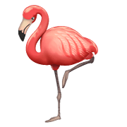 🦩 Emoji Flamingo na WhatsApp 2.20.206.24.