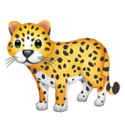 Emoji 🐆 Leopardo su WhatsApp 2.20.206.24.
