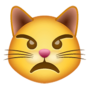 Emoji 😾 Gatto Imbronciato su WhatsApp 2.20.206.24.