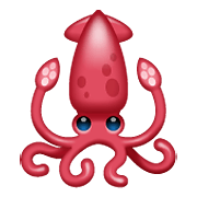 Emoji 🦑 Calamaro su WhatsApp 2.20.206.24.