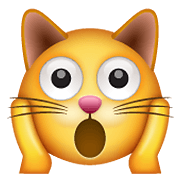 Emoji 🙀 Gatto Esterrefatto su WhatsApp 2.20.206.24.
