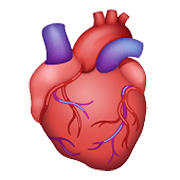 🫀 Emoji Corazón anatómico en WhatsApp 2.21.11.17.