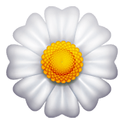 Emoji 🌼 Fiore su WhatsApp 2.21.11.17.