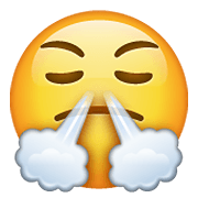 Emoji 😤 Faccina Che Sbuffa su WhatsApp 2.21.11.17.