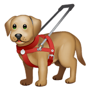 🦮 Emoji Blindenhund WhatsApp 2.21.11.17.