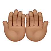 🤲🏽 Emoji Handflächen nach oben: mittlere Hautfarbe WhatsApp 2.21.11.17.