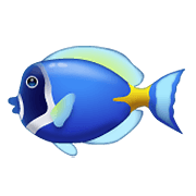 Emoji 🐠 Pesce Tropicale su WhatsApp 2.21.11.17.