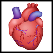 🫀 Emoji Corazón anatómico en WhatsApp 2.21.23.23.