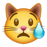 😿 Emoji Gato Llorando en WhatsApp 2.21.23.23.