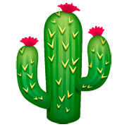 Emoji 🌵 Cactus su WhatsApp 2.22.8.79.