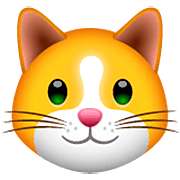 Emoji 🐱 Muso Di Gatto su WhatsApp 2.22.8.79.
