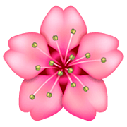 Émoji 🌸 Fleur De Cerisier sur WhatsApp 2.22.8.79.