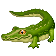 Émoji 🐊 Crocodile sur WhatsApp 2.22.8.79.