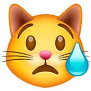 😿 Emoji Gato Llorando en WhatsApp 2.22.8.79.