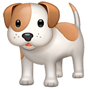 🐕 Emoji Cachorro na WhatsApp 2.22.8.79.