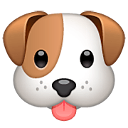 Emoji 🐶 Muso Di Cane su WhatsApp 2.22.8.79.