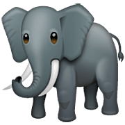 Emoji 🐘 Elefante su WhatsApp 2.22.8.79.