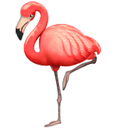 🦩 Emoji Flamingo na WhatsApp 2.22.8.79.