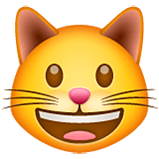 Emoji 😺 Gatto Che Sorride su WhatsApp 2.22.8.79.
