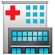 Emoji 🏥 Ospedale su WhatsApp 2.22.8.79.