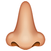 Emoji 👃🏼 Naso: Carnagione Abbastanza Chiara su WhatsApp 2.22.8.79.