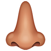 Emoji 👃🏽 Naso: Carnagione Olivastra su WhatsApp 2.22.8.79.